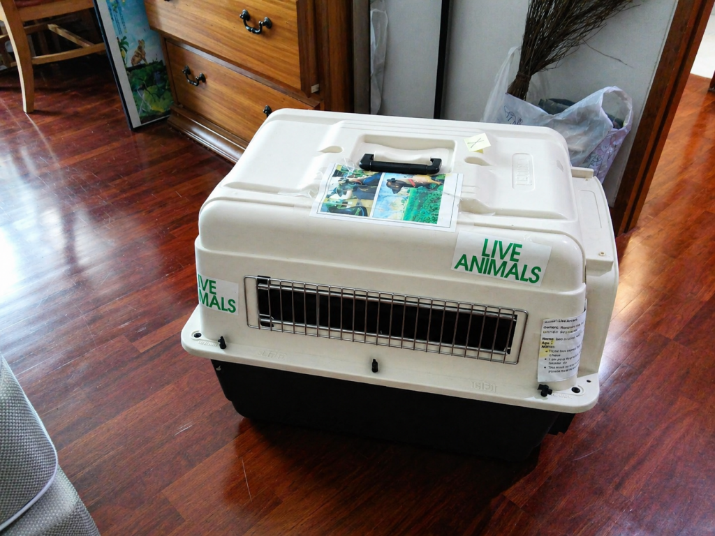 a white pet cage for international pet moving service
