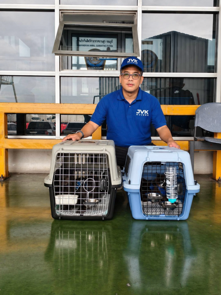 JVK Movers staff is taking care of 2 pet cages
